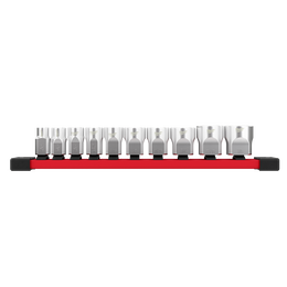 3/8" Drive 10 Piece Standard SAE Socket Set with Storage Rail